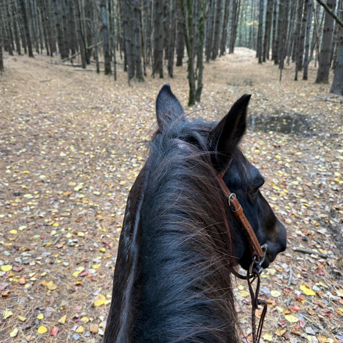 On The Trail