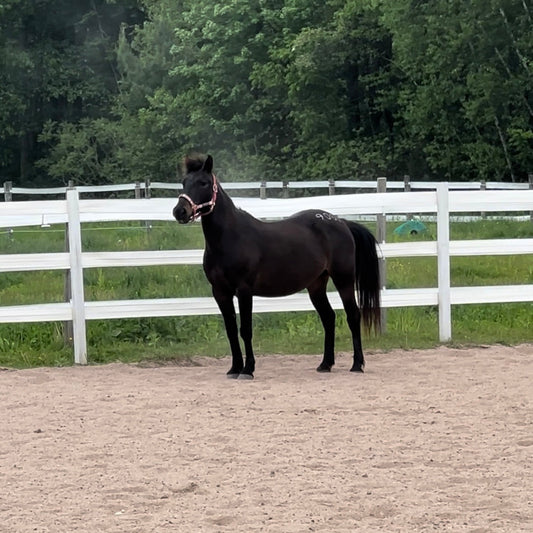 That Mare
